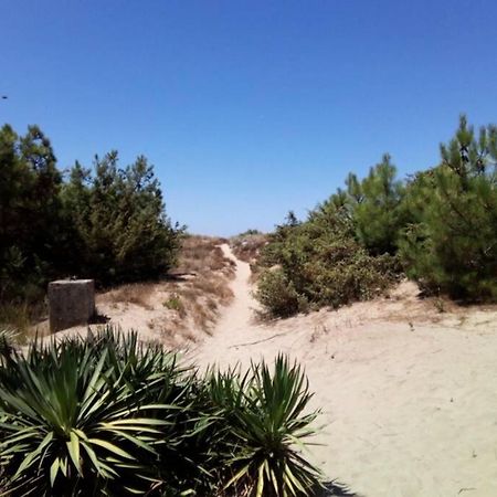 Casa Nel Parco Sulla Spiaggia بيزا المظهر الخارجي الصورة
