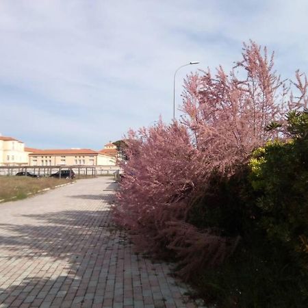 Casa Nel Parco Sulla Spiaggia بيزا المظهر الخارجي الصورة