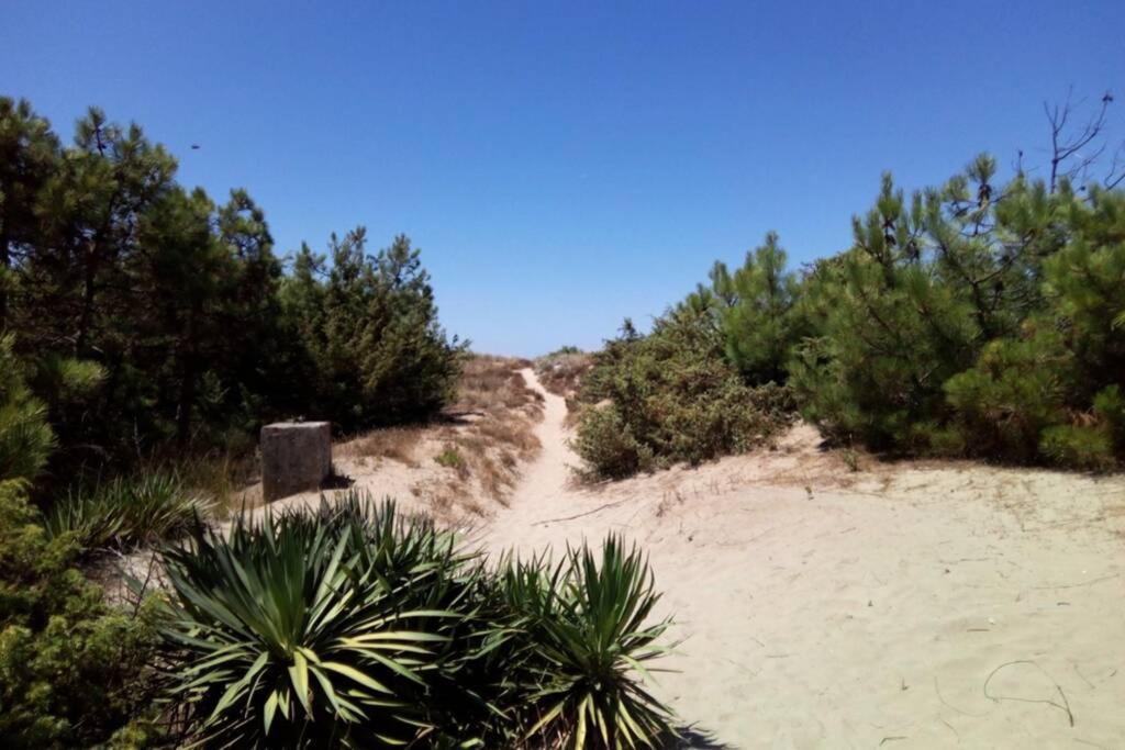 Casa Nel Parco Sulla Spiaggia بيزا المظهر الخارجي الصورة