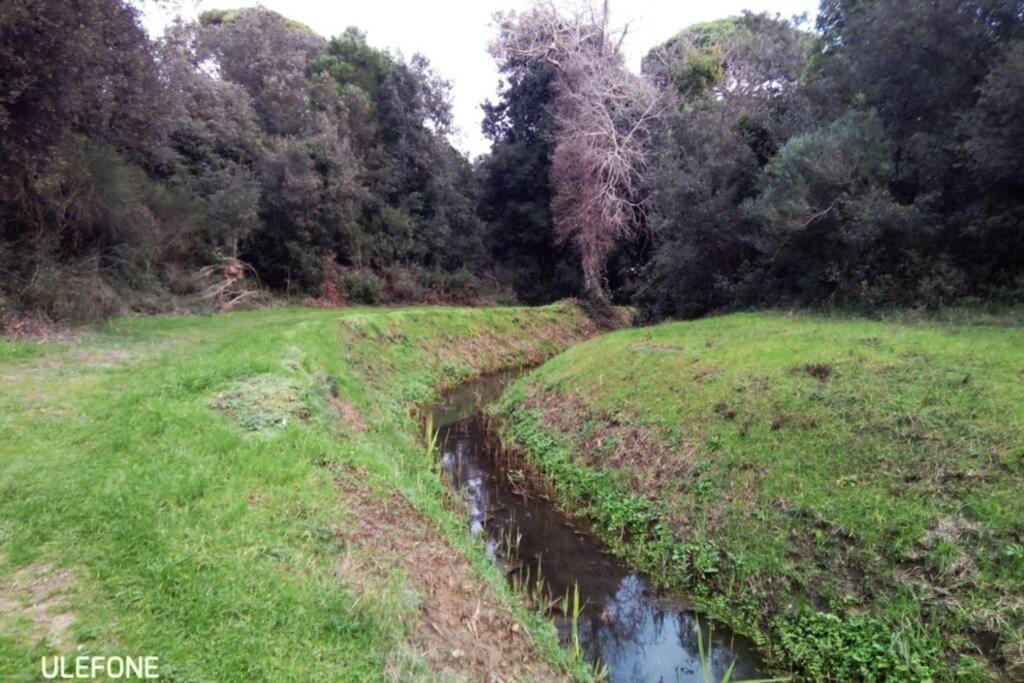 Casa Nel Parco Sulla Spiaggia بيزا المظهر الخارجي الصورة