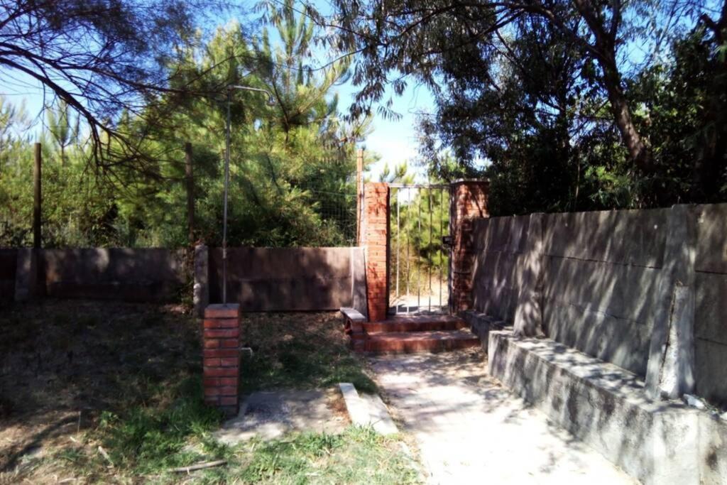 Casa Nel Parco Sulla Spiaggia بيزا المظهر الخارجي الصورة